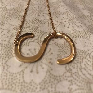 Fashionable “S” shaped necklace